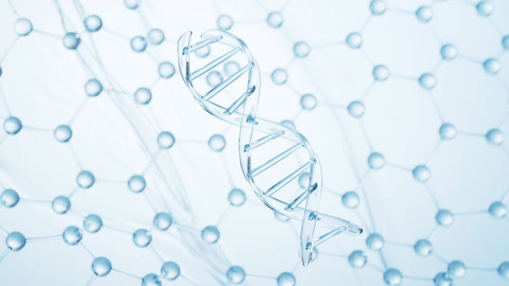Exosome Và Tế Bào Gốc Có Gì Khác Biệt