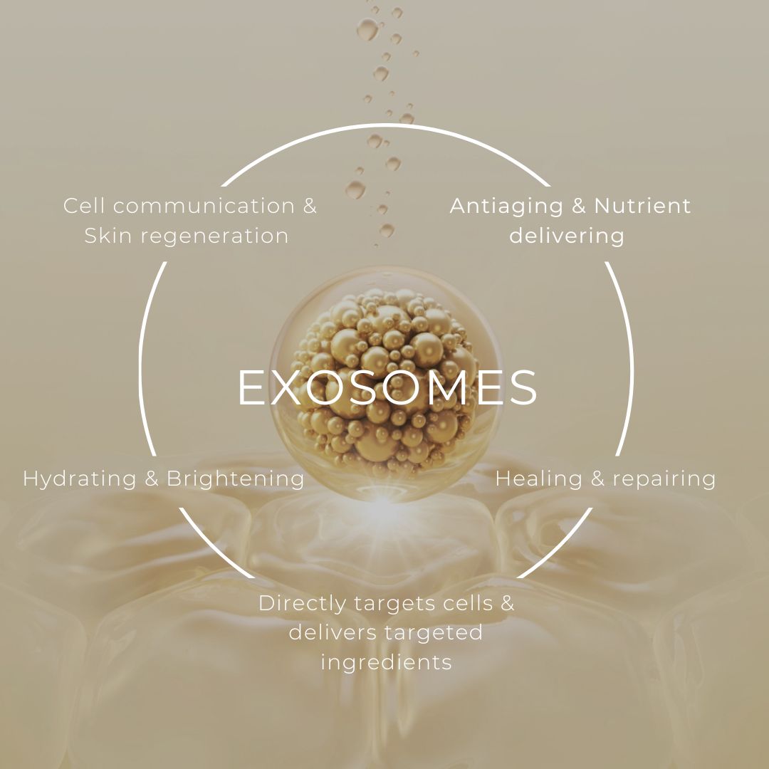 Exosome Và Tế Bào Gốc Có Gì Khác Biệt