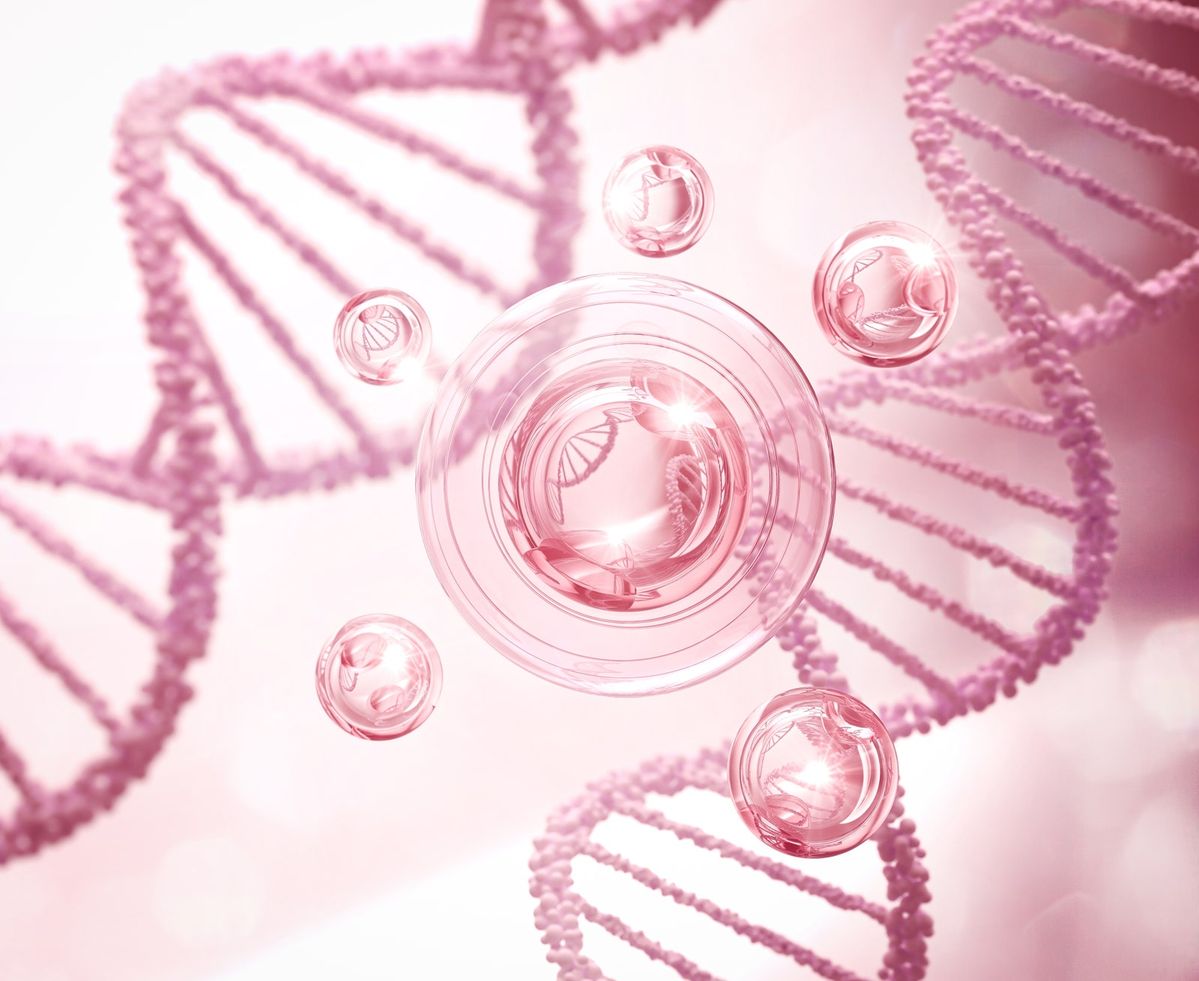 PDRN, Exosome Và HA: Hoạt Chất Nào Đáng Đầu Tư Hơn?